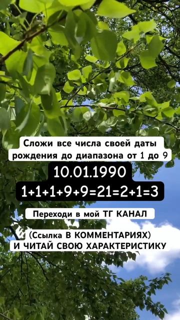 Число характера. Число судьбы. Обучение нумерологии