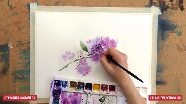 Рисуем акварелью Сирень — kalachevaschool.ru