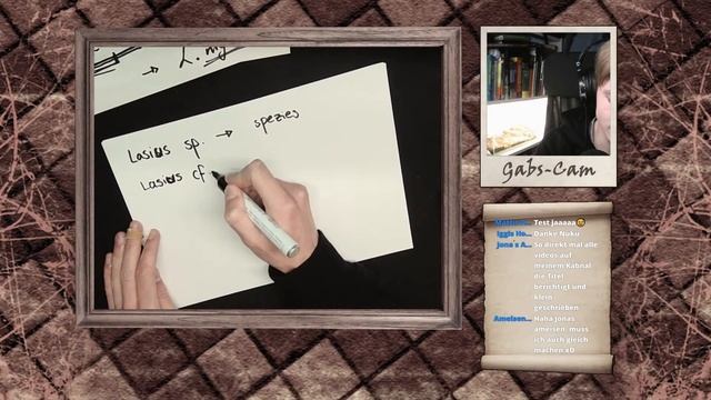 [nicht mehr live] Systematik der (heimischen) Ameisen - Ameisentalk смотреть онлайн