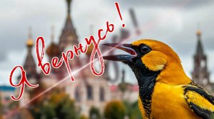 Я вернусь!!!
