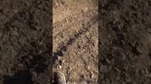 Первый выезд на Газ Линию Крым