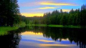 Вода, вода, кругом вода