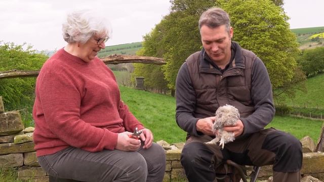 Adopted Tawny Owlets Thrive Under Owl Mum's Care | Luna & Bomber | Robert E Fuller