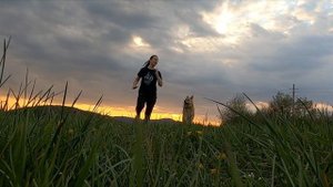 4139671-hd_1920_1080_30fps