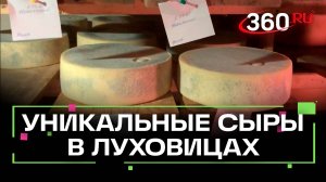 Необычные сыры изготавливают в Луховицах - в чем их особенность?