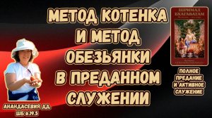 Метод котенка и метод обезьянки в преданном служении. Анандасевия дд. ШБ 6.19.5