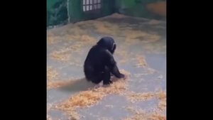 ПОДБОРКА МЕМОВ / №16