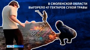 Вести-Смоленск - В Смоленской области выгорело 47 гектаров сухой травы