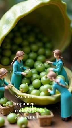 Top_produkty_Bogema
