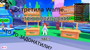 СТОЮ В ПЛИЗ ДОНАТЕ ЧАС! (Встретила Waffle?..)