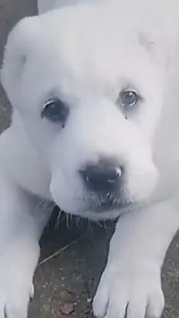 Будущий искатель металла