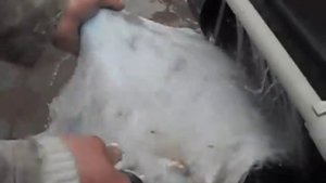 мездрильный станок