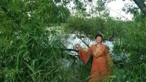 В тихой заводи