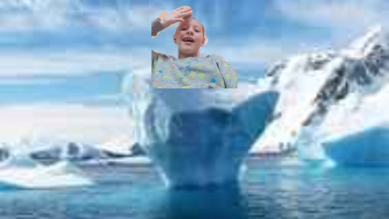 я морж чек