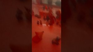31 серия похищение в клубе