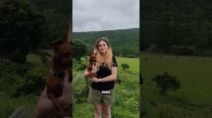 Как живут иностранцы