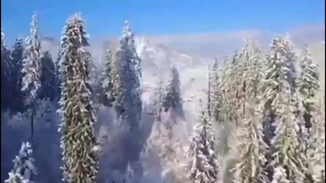 Отличный денек с природой