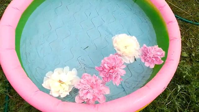 бассейны😄😄😄 ледяная вода смотреть онлайн