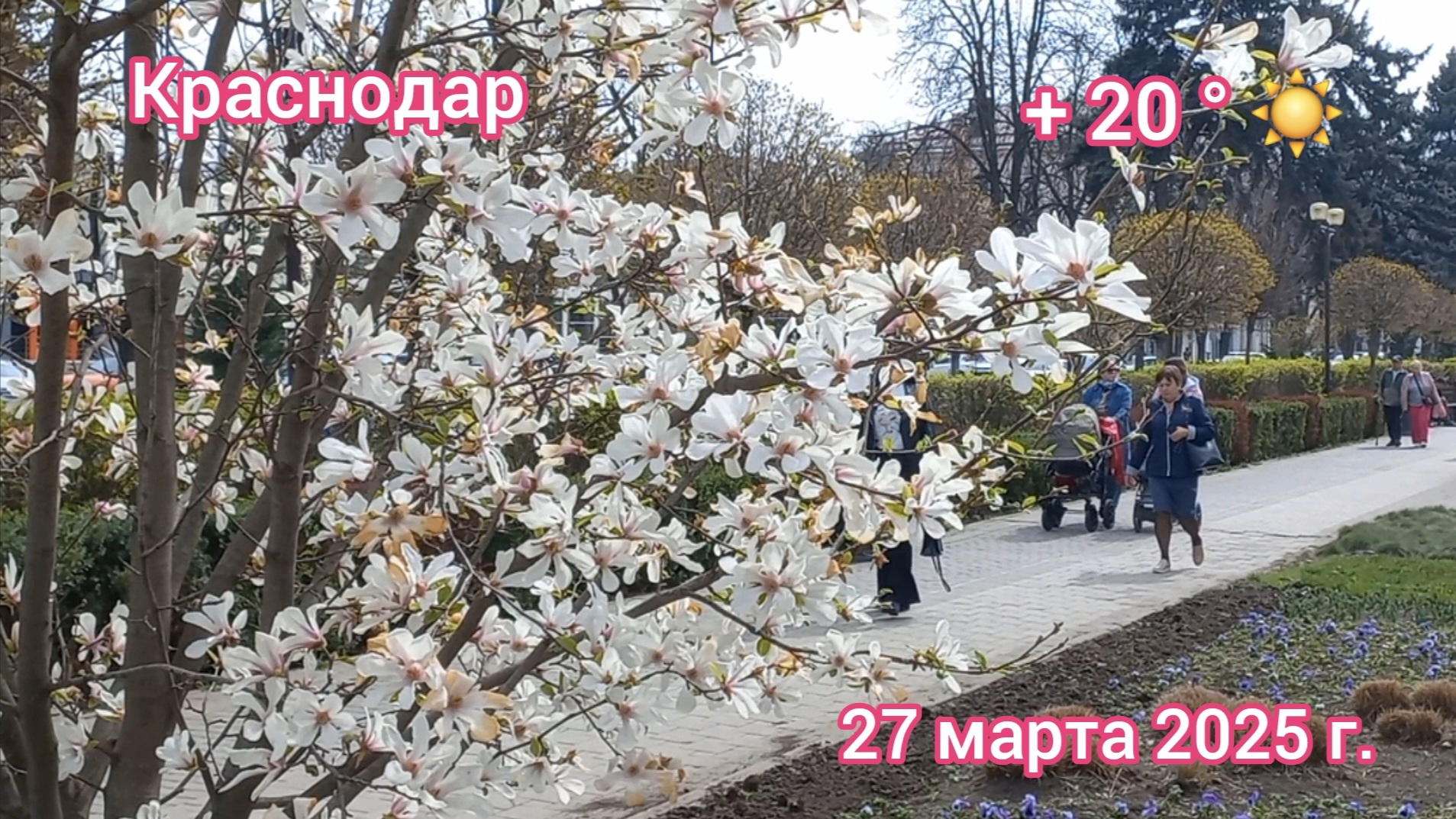 Краснодар - прогулка по весеннему городу - 27 марта 2025 г.