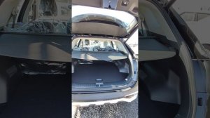 Kia Sportage 2.0 AT, 2024, 5 км
