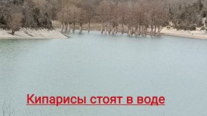 Поселок Сукко. 
Кипарисовое озеро.
27.03.2025.