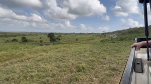 Egypt Kenia Long 01 08 17 больше 1 часа