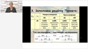 Подготовка к ЕГЭ по биологии 2025 года. Генетика: типы задач на полимерию