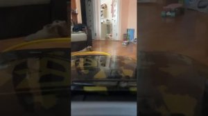 Почистили деньги