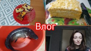 📽Вот это щука😱Живём вдвоём с дочкой💥Всего понемногу #реальнаяжизнь