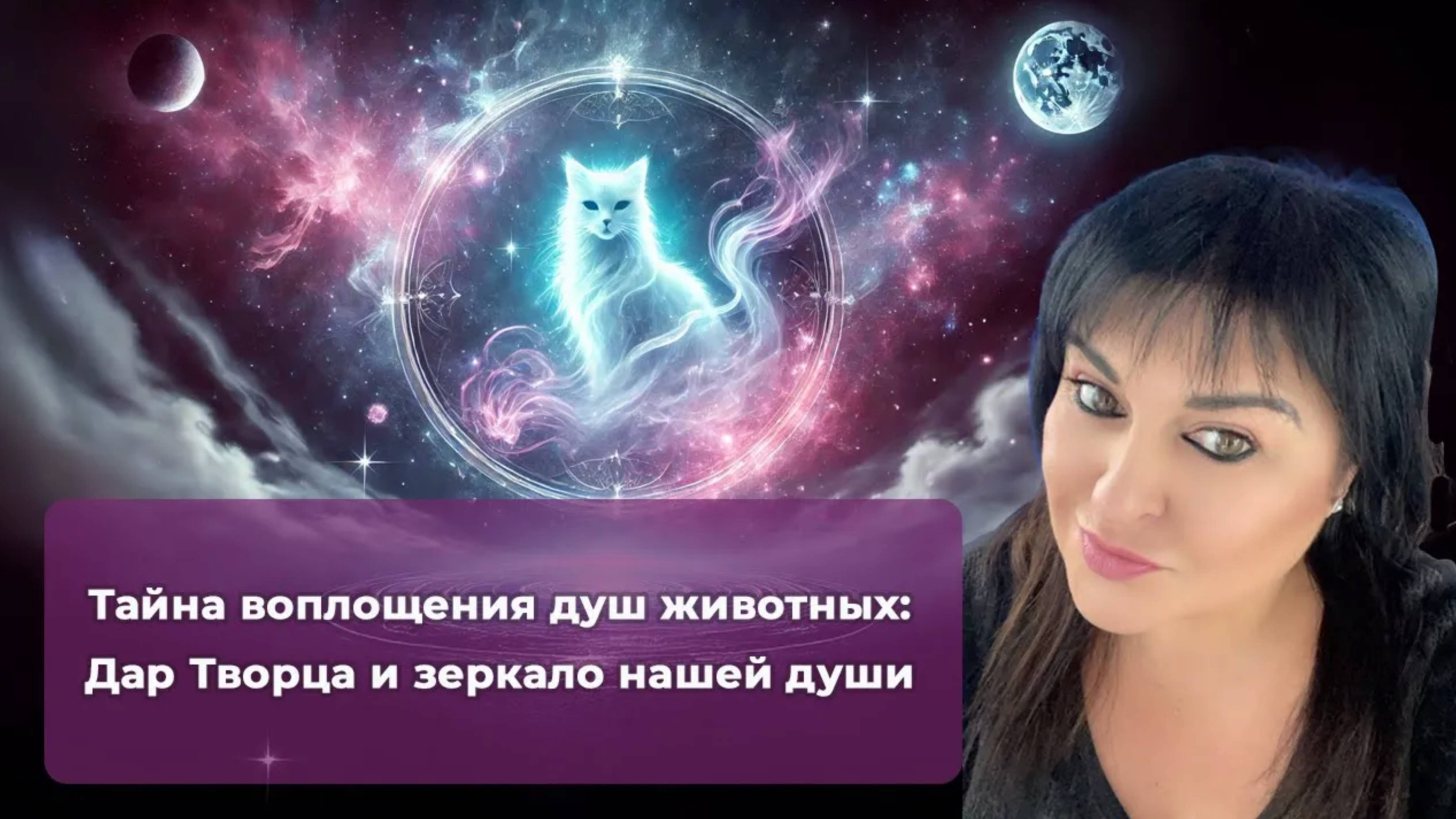 Тайна воплощения душ животных. Дар Творца и зеркало нашей души