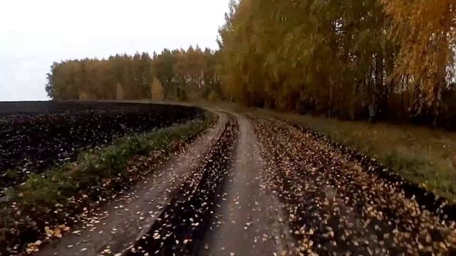 Природа !!! итоги бегового сезона почти полторы тысячи км, не которые фрагменты с тренировки !