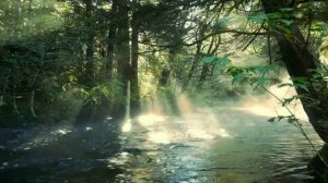 СИЛЬНЫЕ ДУШИ  МОЙ ДУШЕВНЫЙ МОНОЛОГ