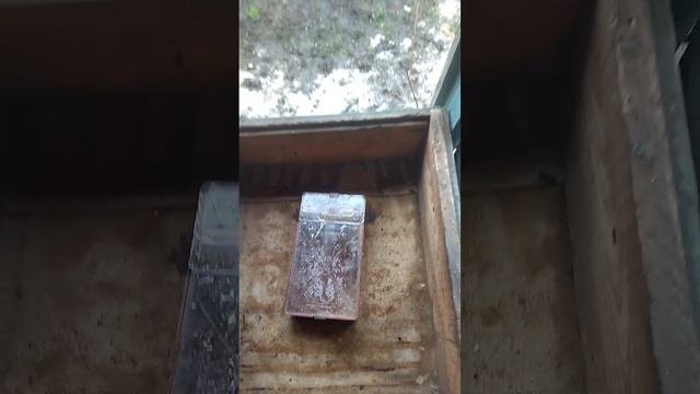 своевременная помощь