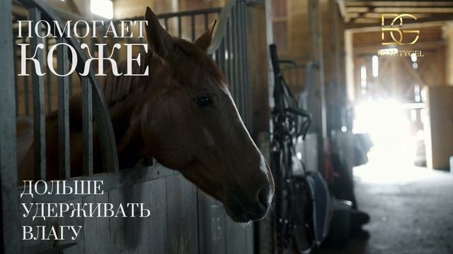 BEAUTYGEL DMAE смотреть онлайн