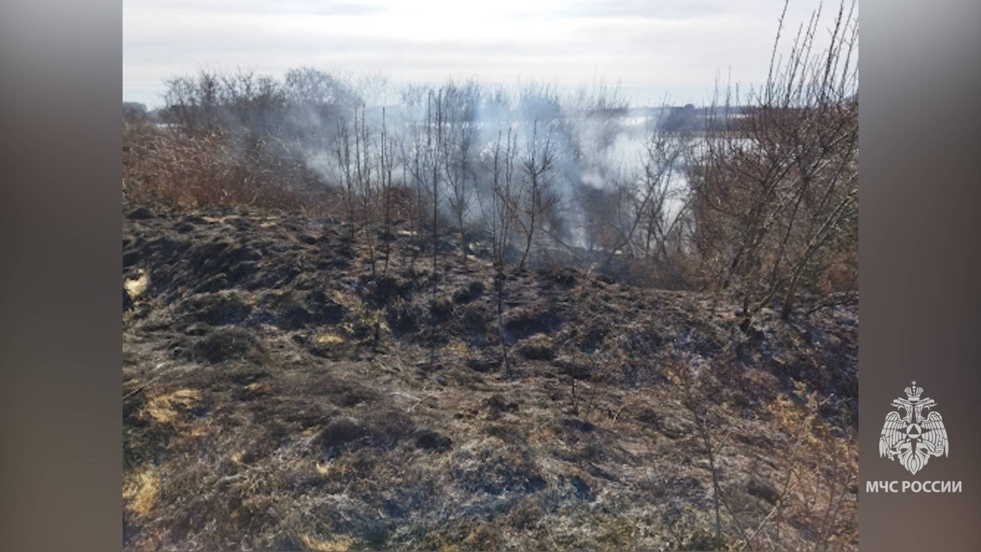 Погода фобос рыбинск. Рыбинск сегодня. Погода на завтра. Погода фобос рыбинск. Погода фобос рыбинск.
