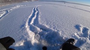 о.Инголь Крвсноярский край 23 -24дек 2021