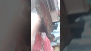 играю с Луной