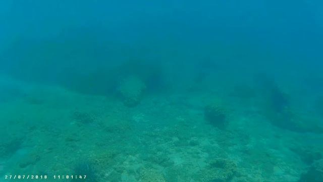 Greece 2018 - Aegean Sea - 150 meters off shore at Artemida......