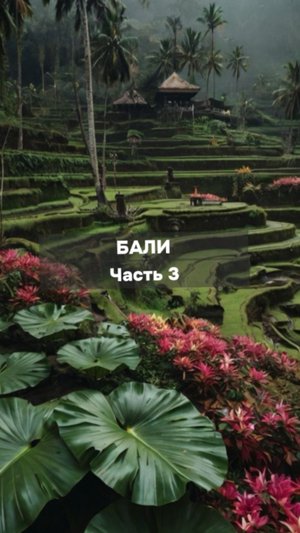 Почему на Бали нужно побывать в разных локациях?