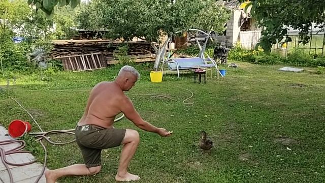 утя-утя