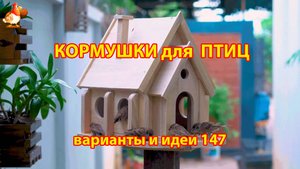 Кормушка для птиц своими руками как сделать пошагово  (147) 🪚🪛🔨 Идеи для дачи и сада❣️