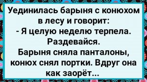 Как Барыня с Конюхом в Лесу Уединилась! Большой Сборник Свежих Смешных Анекдотов!