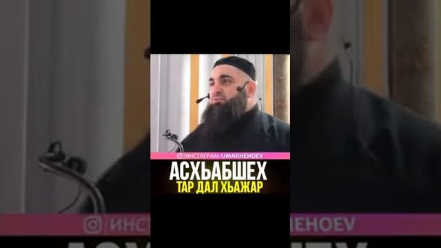 Умар Хехоев ☝️ Хьехам. смотреть онлайн