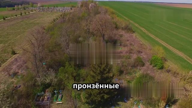 Топ 10 самых жутких археологических находок смотреть онлайн