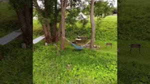 сокровище - это не только золото или иные драгоценности. сокровище - это природа и наша жизнь в ней.