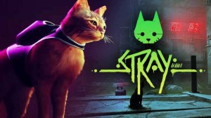 Играю в Stray (полное прохождение)