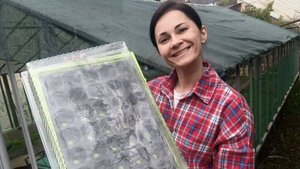 Контейнеры для рассады