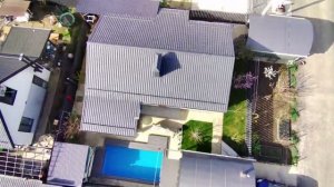 сажаем деревья