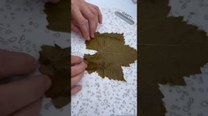 СОЧНЫЕ СТЕЙКИ ИЗ ЛОСОСЯ В СОУСЕ