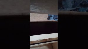 никитка